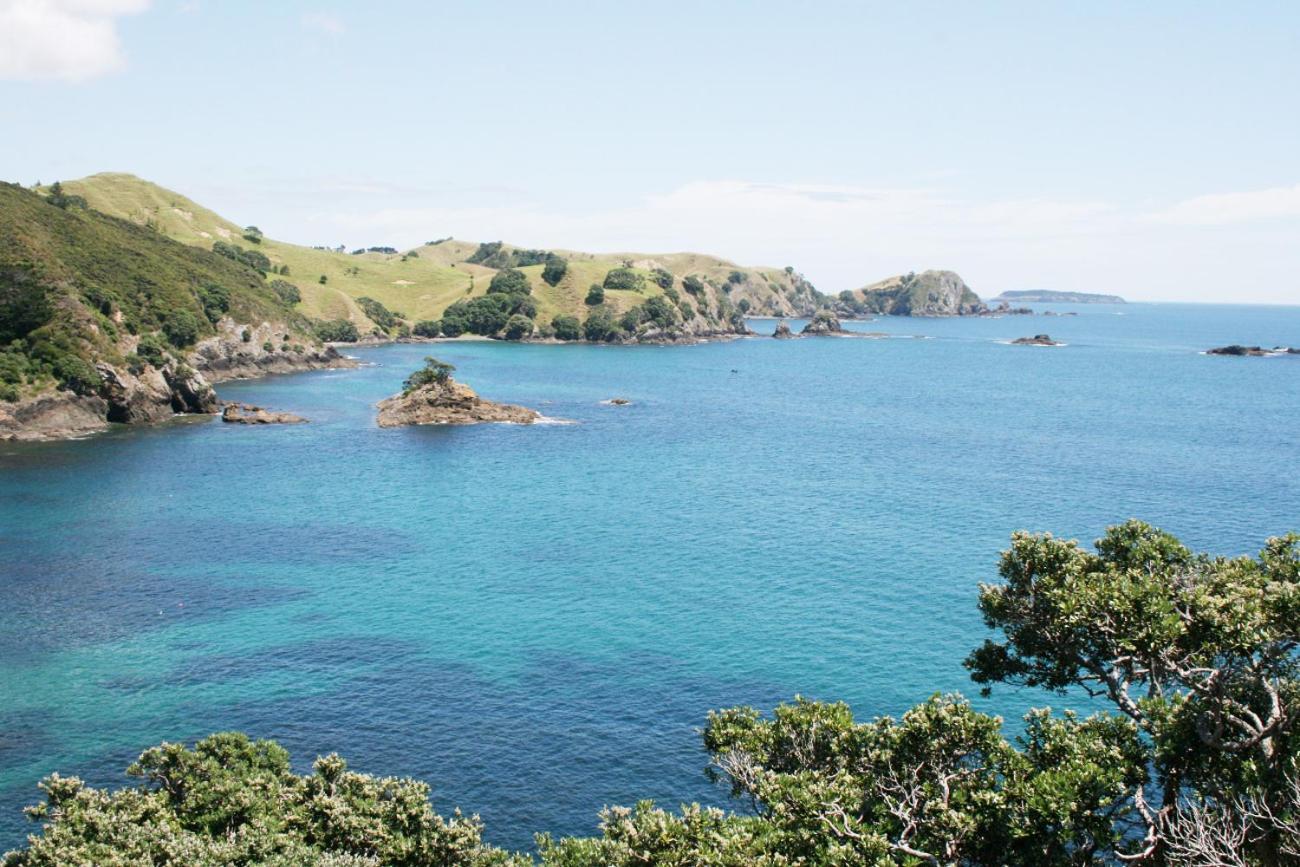 Perfect Base In The Bay Of Islands Lägenhet Opua Exteriör bild
